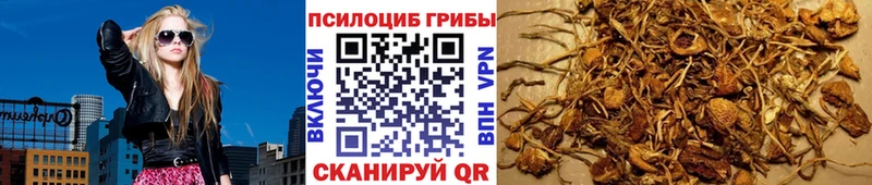 Галлюциногенные грибы Magic Shrooms Люберцы